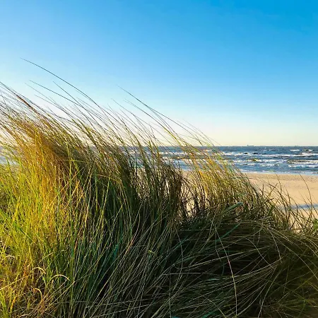 W Dzielnicy Nadmorskiej